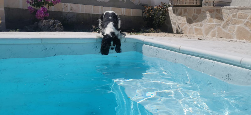 Marina bazen bijela touch folija